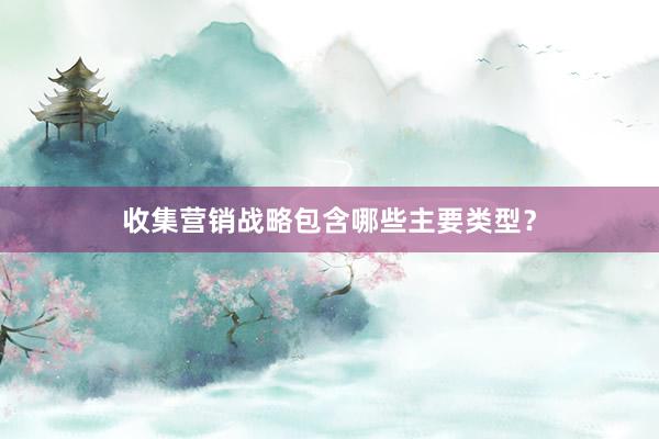 收集营销战略包含哪些主要类型？