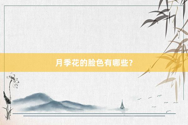 月季花的脸色有哪些？