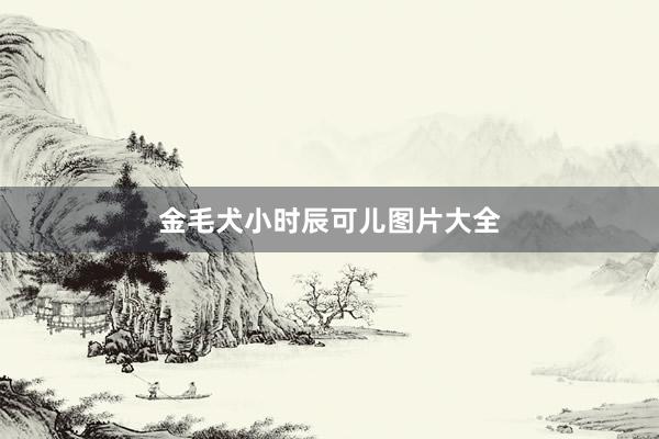 金毛犬小时辰可儿图片大全